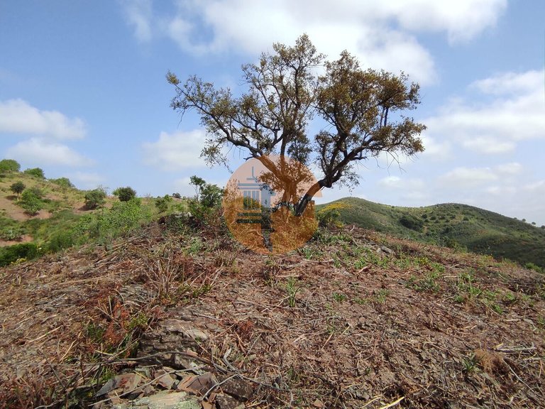 Plot for Sale in Azinhal, Castro Marim, Portugal 48