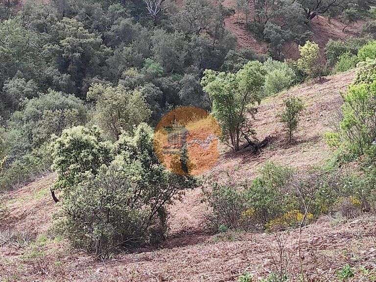 Plot for Sale in Azinhal, Castro Marim, Portugal 49