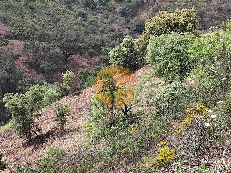 Plot for Sale in Azinhal, Castro Marim, Portugal 50