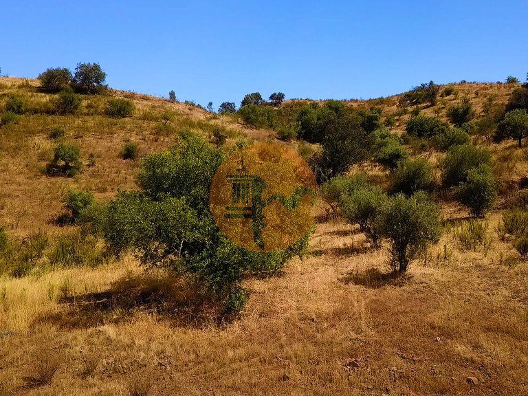 Plot for Sale in Castro Marim, Castro Marim, Portugal 5