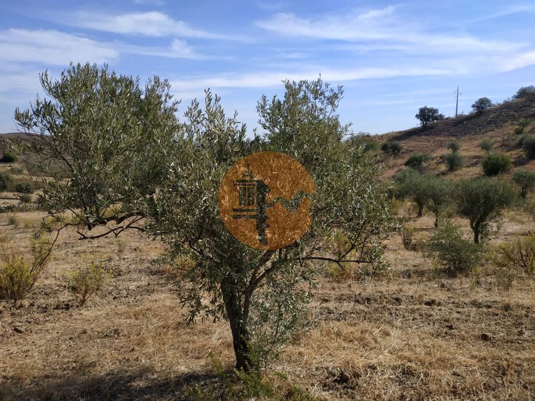 Plot for Sale in Castro Marim, Castro Marim, Portugal 26