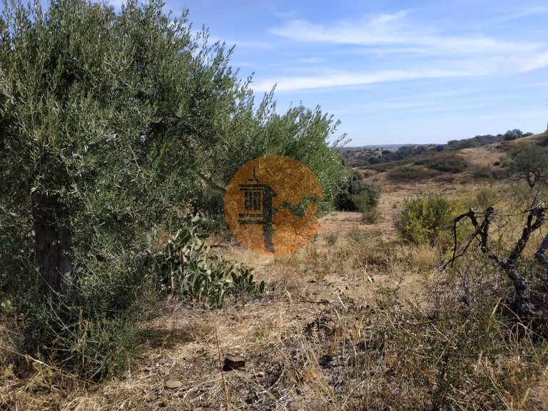 Plot for Sale in Castro Marim, Castro Marim, Portugal 30