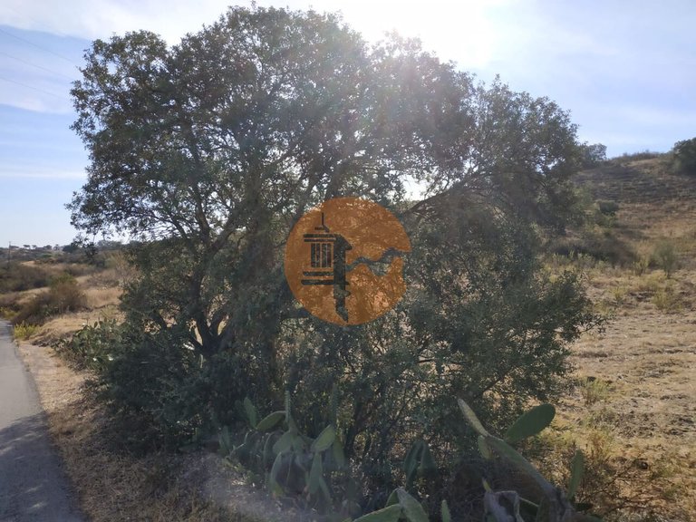 Plot for Sale in Castro Marim, Castro Marim, Portugal 45