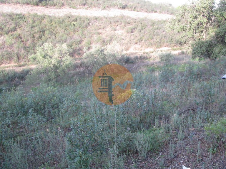 Plot for Sale in Azinhal, Castro Marim, Portugal 6