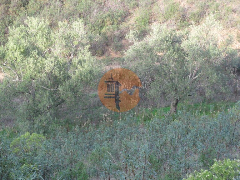 Plot for Sale in Azinhal, Castro Marim, Portugal 7