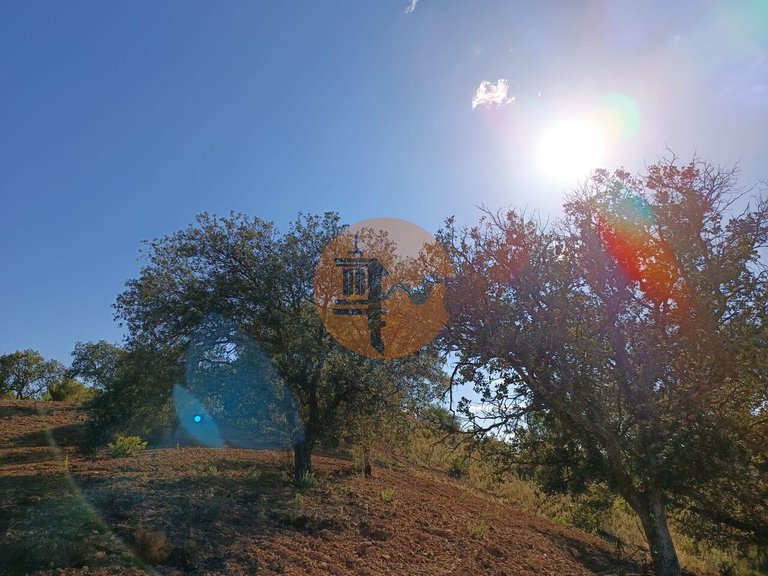 Plot for Sale in Azinhal, Castro Marim, Portugal 9