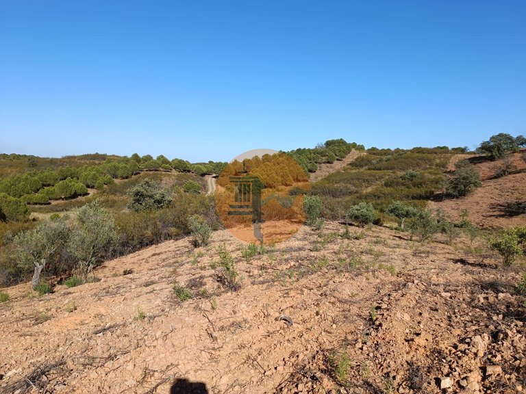 Plot for Sale in Azinhal, Castro Marim, Portugal 13