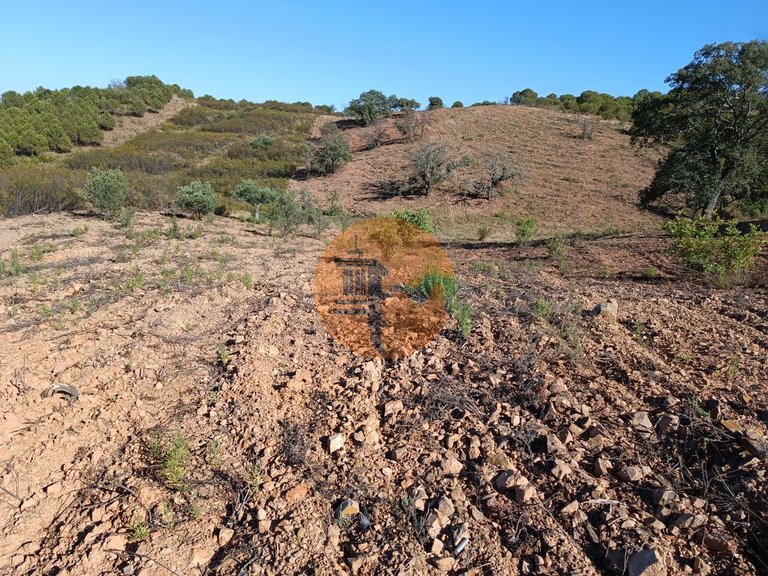 Plot for Sale in Azinhal, Castro Marim, Portugal 14
