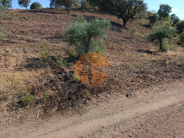 Plot for Sale in Azinhal, Castro Marim, Portugal 16