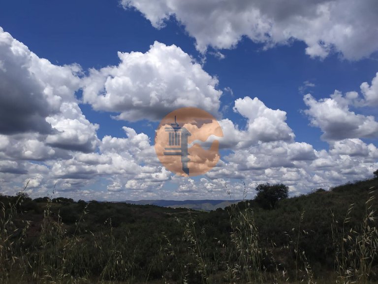 Plot for Sale in Azinhal, Castro Marim, Portugal 22