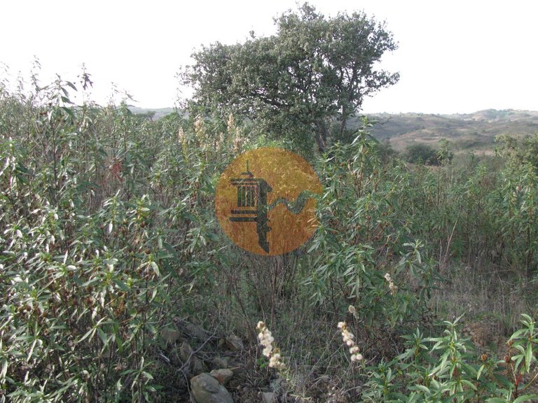 Plot for Sale in Azinhal, Castro Marim, Portugal 23