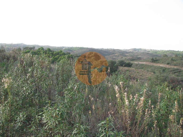 Plot for Sale in Azinhal, Castro Marim, Portugal 24