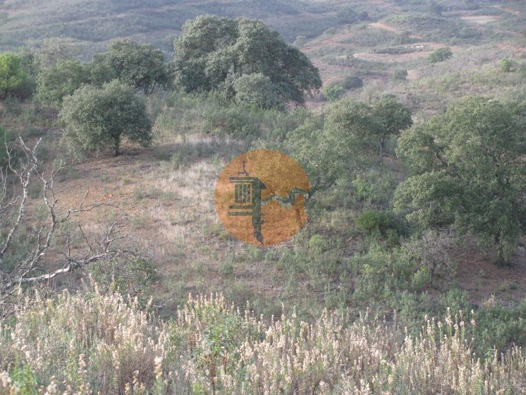 Plot for Sale in Azinhal, Castro Marim, Portugal 25