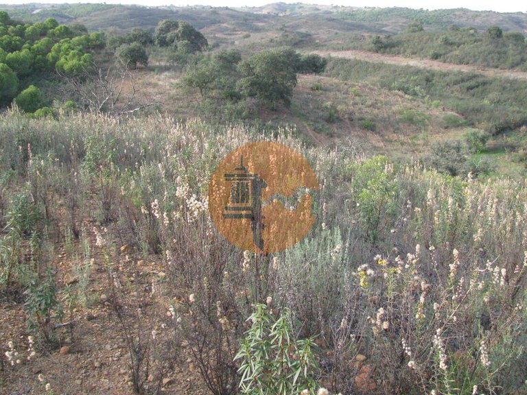 Plot for Sale in Azinhal, Castro Marim, Portugal 26