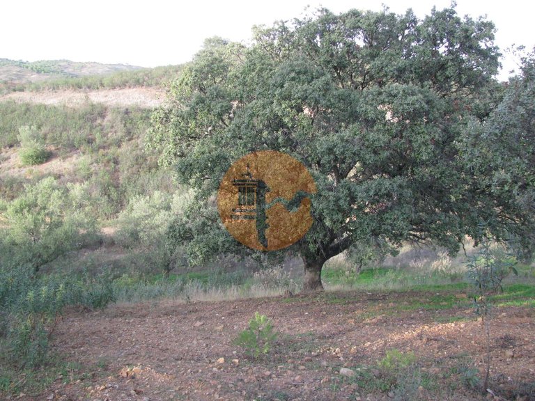 Plot for Sale in Azinhal, Castro Marim, Portugal 31