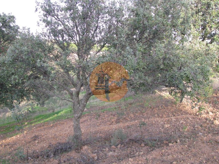 Plot for Sale in Azinhal, Castro Marim, Portugal 32