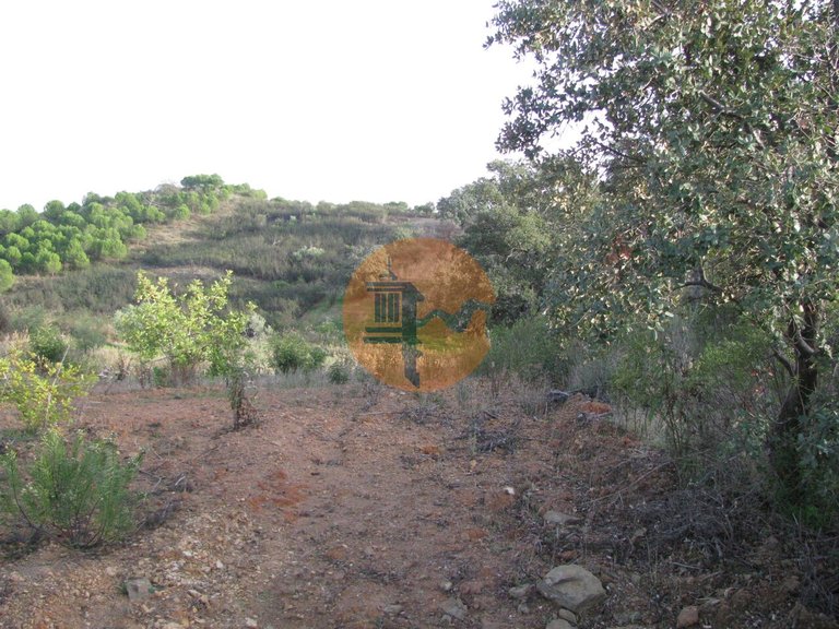 Plot for Sale in Azinhal, Castro Marim, Portugal 33