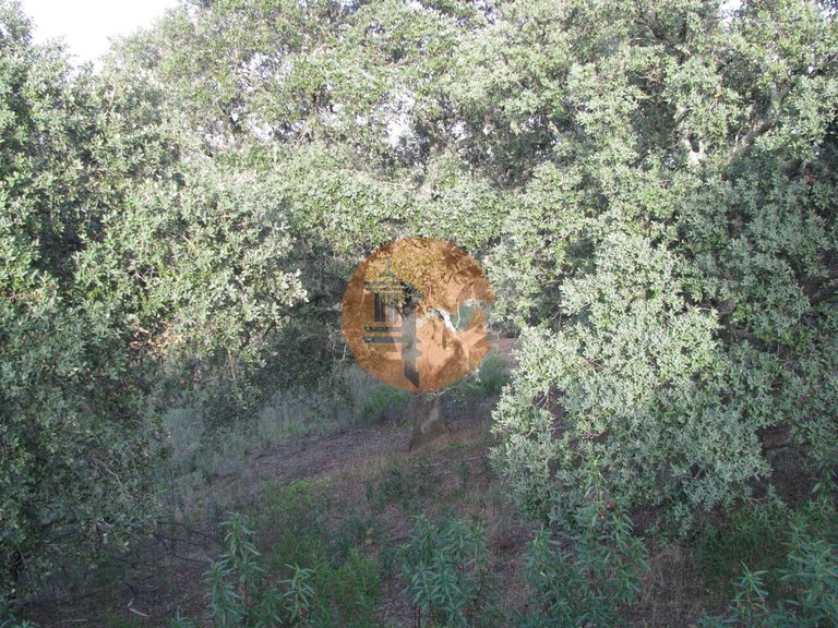 Plot for Sale in Azinhal, Castro Marim, Portugal 35