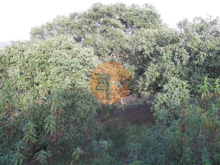 Plot for Sale in Azinhal, Castro Marim, Portugal 37