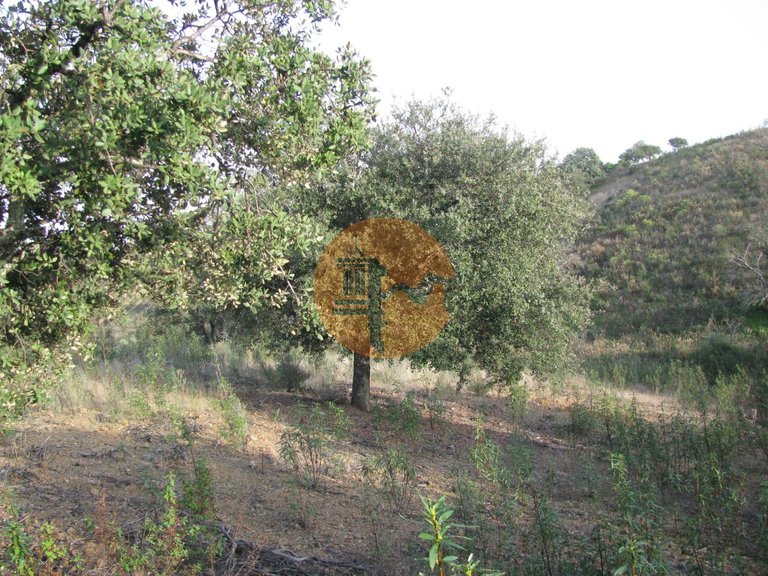 Plot for Sale in Azinhal, Castro Marim, Portugal 2