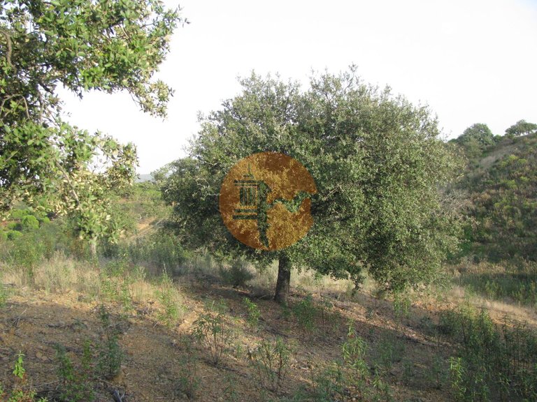 Plot for Sale in Azinhal, Castro Marim, Portugal 38