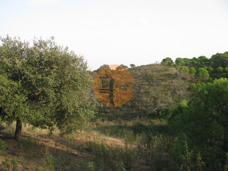 Plot for Sale in Azinhal, Castro Marim, Portugal 39