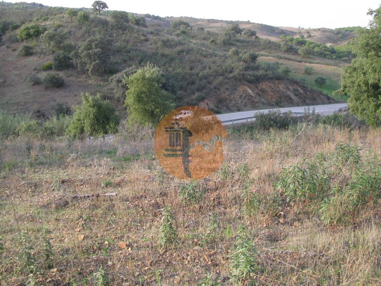 Plot for Sale in Azinhal, Castro Marim, Portugal 3