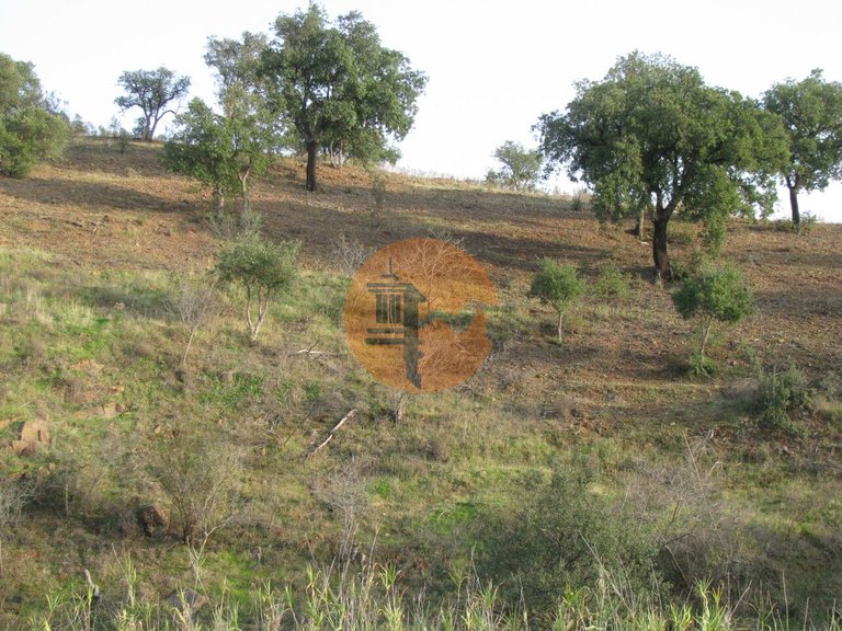 Plot for Sale in Azinhal, Castro Marim, Portugal 5