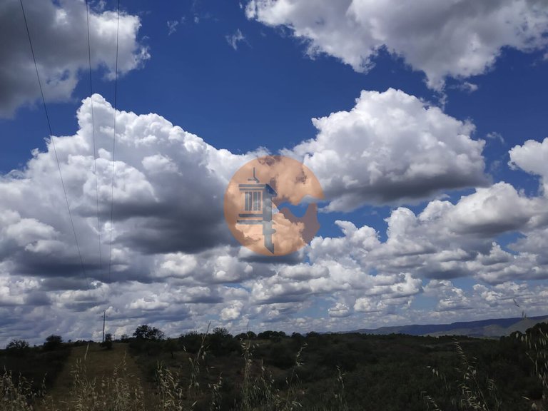Plot for Sale in Azinhal, Castro Marim, Portugal 14