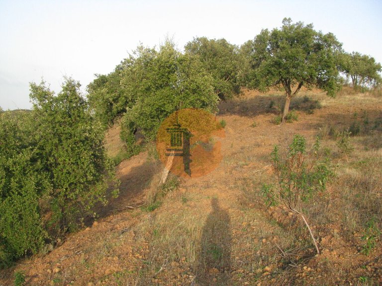 Plot for Sale in Azinhal, Castro Marim, Portugal 18