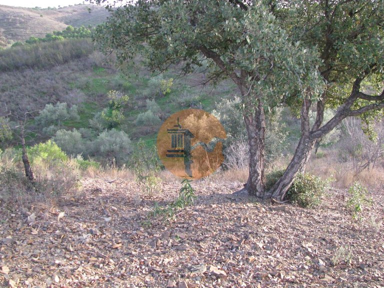 Plot for Sale in Azinhal, Castro Marim, Portugal 22