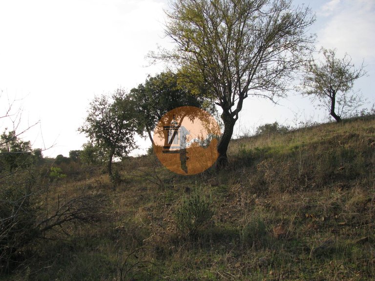 Plot for Sale in Azinhal, Castro Marim, Portugal 23