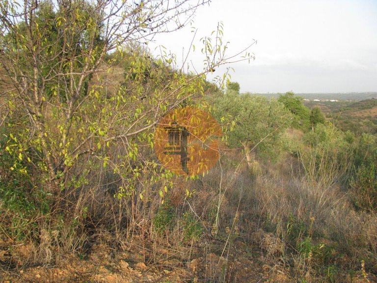 Plot for Sale in Azinhal, Castro Marim, Portugal 25