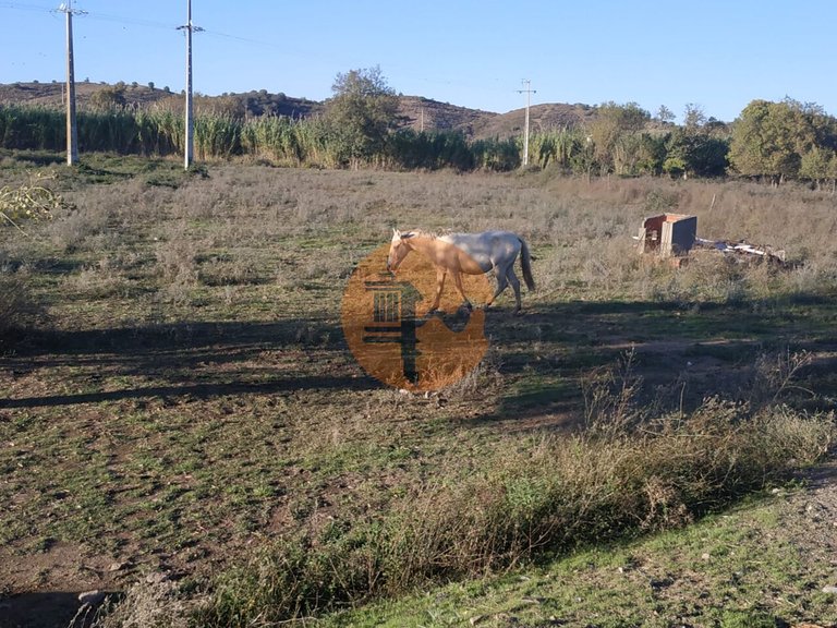 Plot for Sale in Castro Marim, Castro Marim, Portugal 14