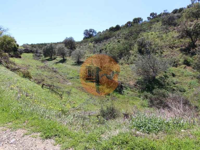 Plot for Sale in Conceição, Tavira, Portugal 6