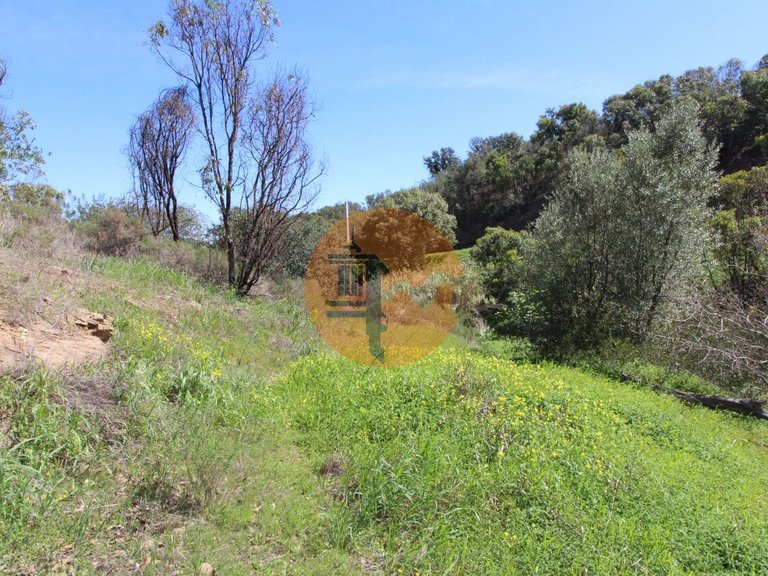 Plot for Sale in Conceição, Tavira, Portugal 19