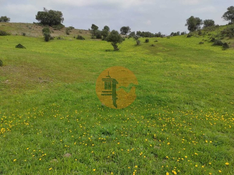 Plot for Sale in Castro Marim, Castro Marim, Portugal 1