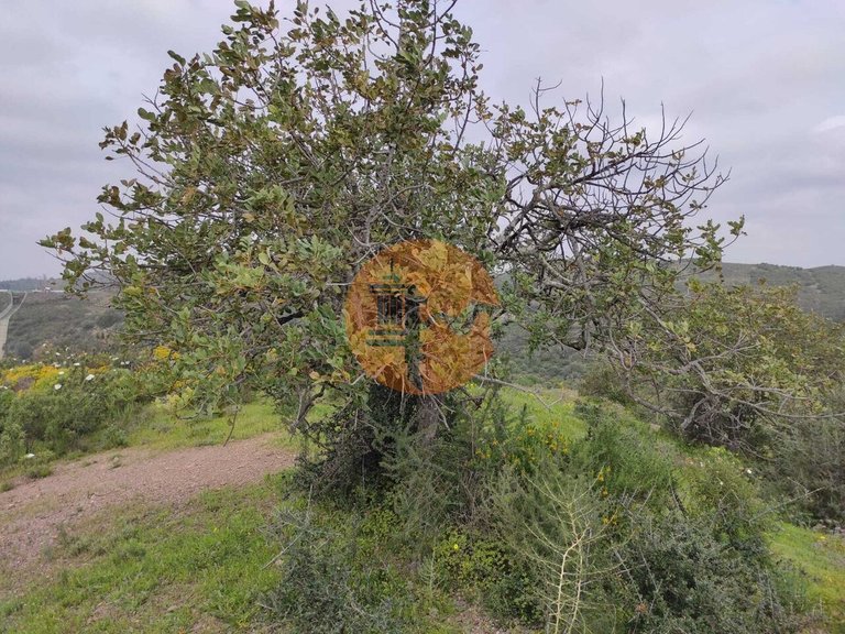 Plot for Sale in Castro Marim, Castro Marim, Portugal 14