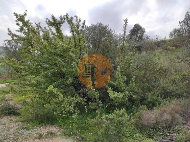 Plot for Sale in Castro Marim, Castro Marim, Portugal 18
