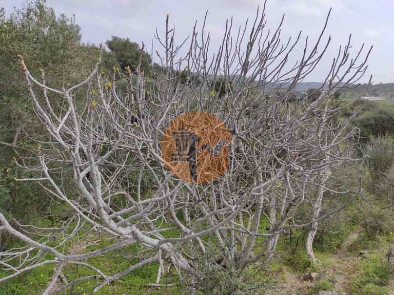 Plot for Sale in Castro Marim, Castro Marim, Portugal 20