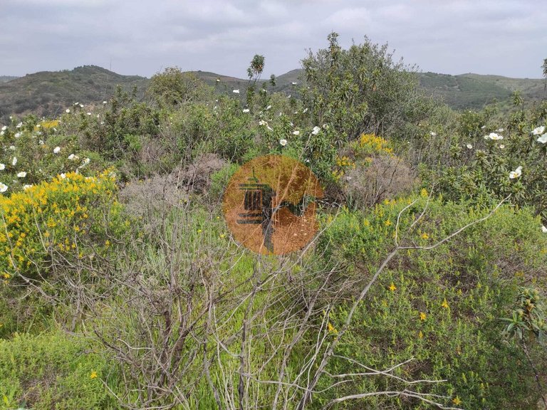 Plot for Sale in Castro Marim, Castro Marim, Portugal 28