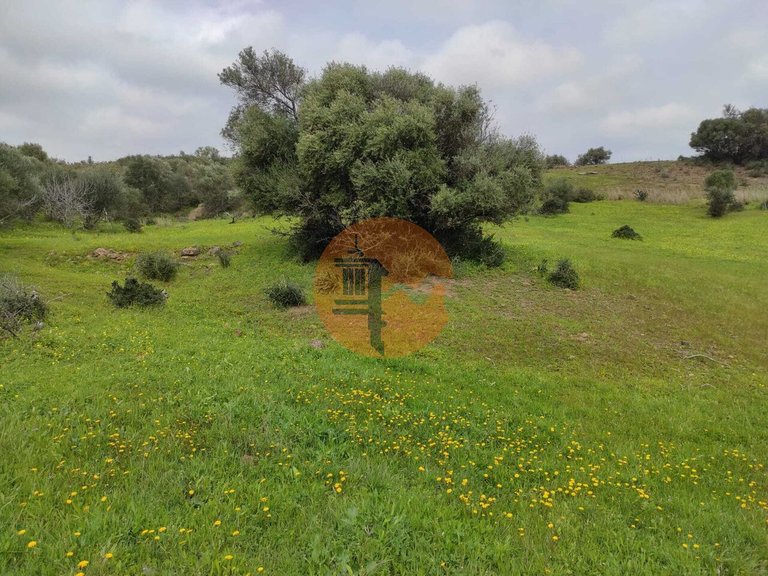 Plot for Sale in Castro Marim, Castro Marim, Portugal 30