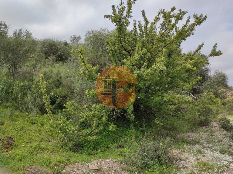 Plot for Sale in Castro Marim, Castro Marim, Portugal 32