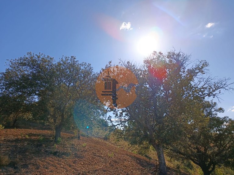 Plot for Sale in Azinhal, Castro Marim, Portugal 2