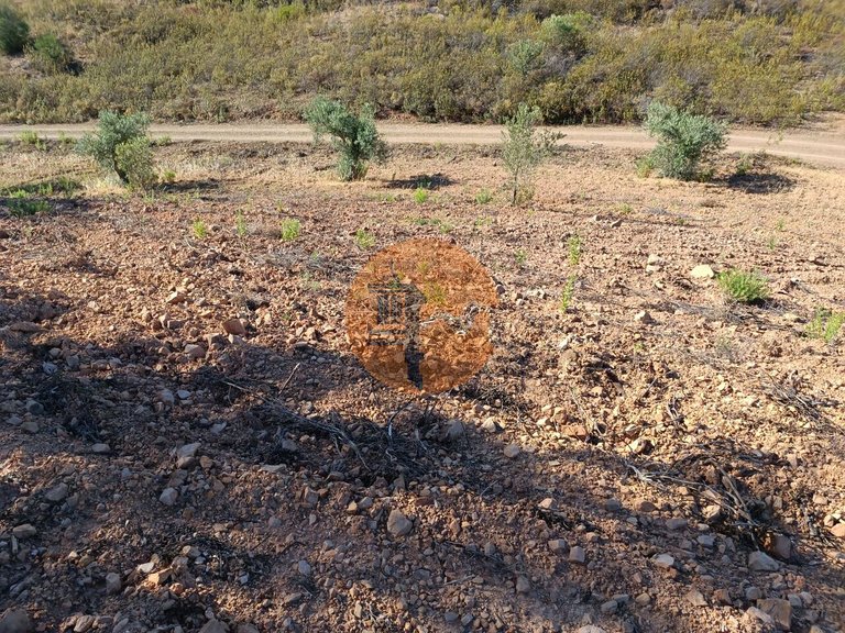 Plot for Sale in Azinhal, Castro Marim, Portugal 1