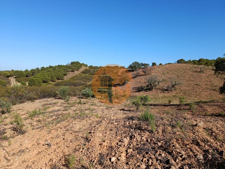 Plot for Sale in Azinhal, Castro Marim, Portugal 4