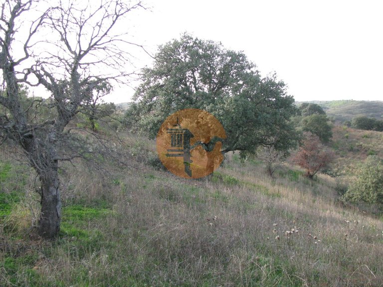 Plot for Sale in Azinhal, Castro Marim, Portugal 17