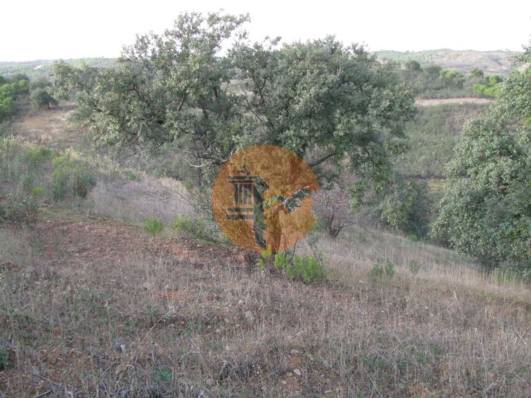 Plot for Sale in Azinhal, Castro Marim, Portugal 20