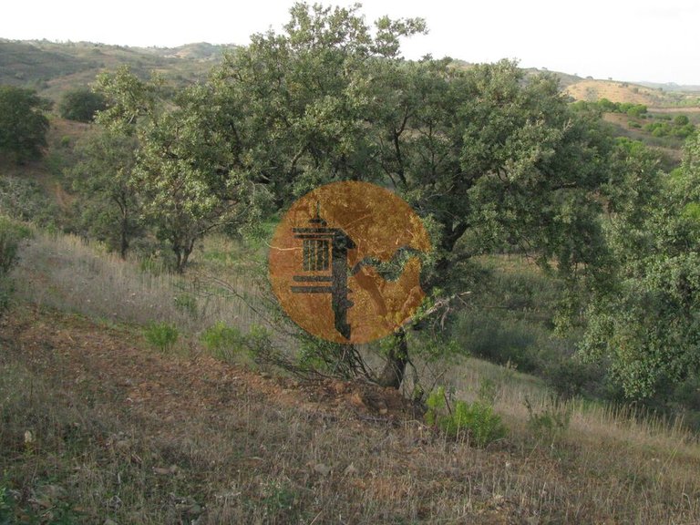 Plot for Sale in Azinhal, Castro Marim, Portugal 22
