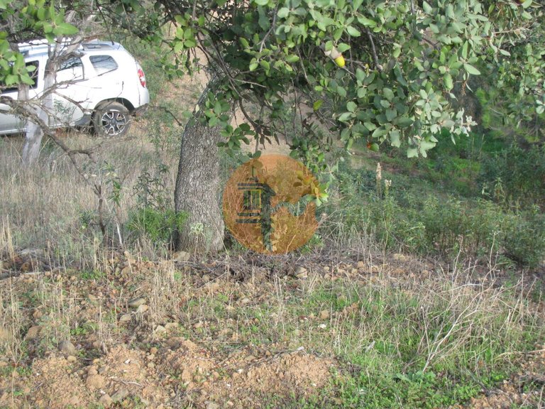 Plot for Sale in Azinhal, Castro Marim, Portugal 23